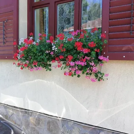 Homestay szállás Roza *